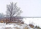 Tree In Snowstorm_DSCF04477